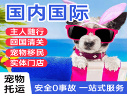 秦皇岛北戴河航空运输国际宠物托运 【国